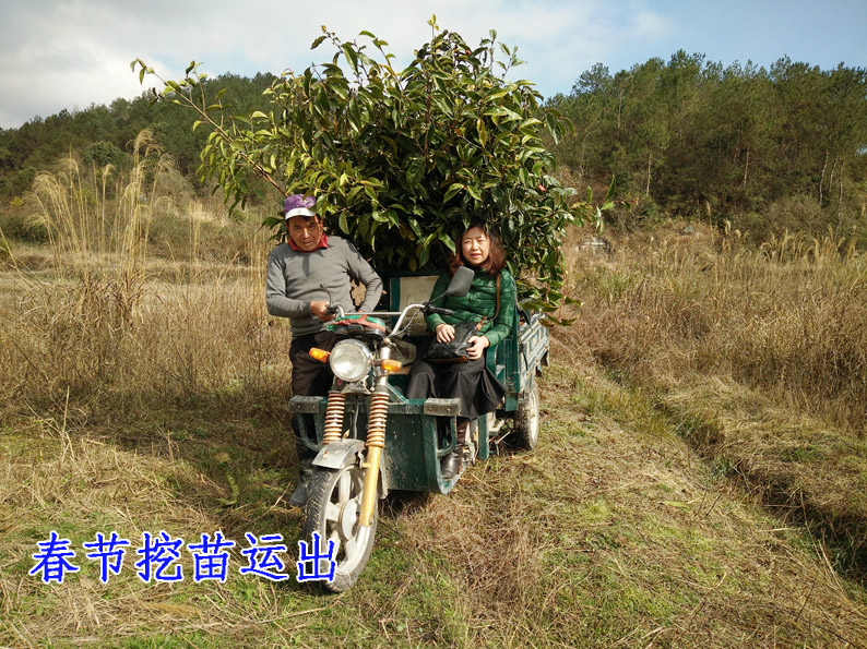 水岭根01.jpg