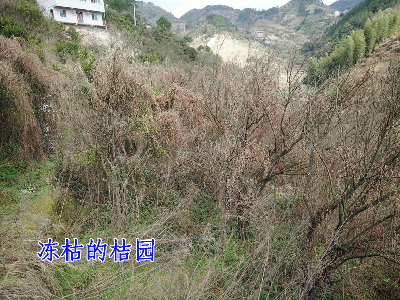 水岭根1.jpg