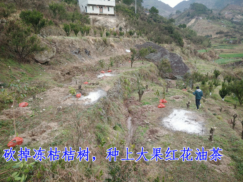 水岭根2.jpg