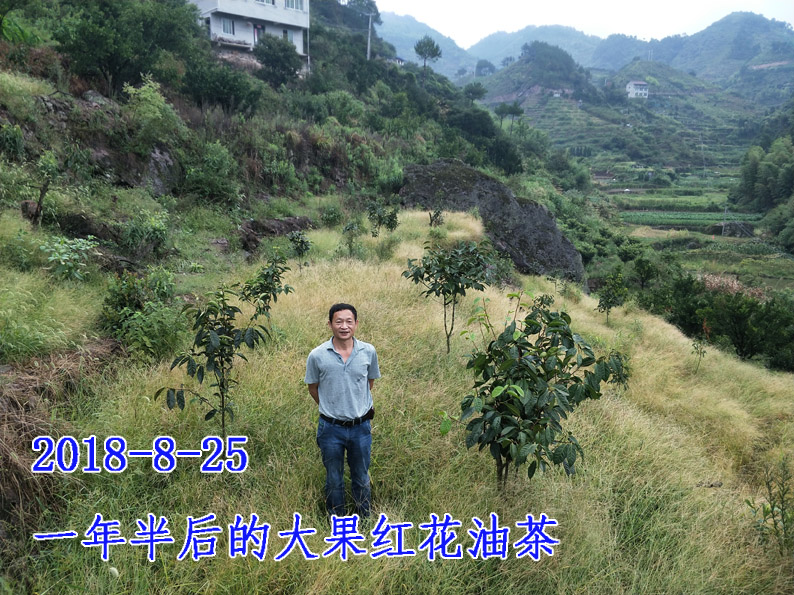 水岭根3.jpg