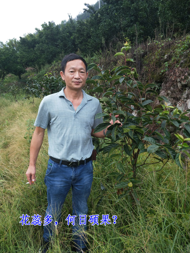 水岭根5.jpg